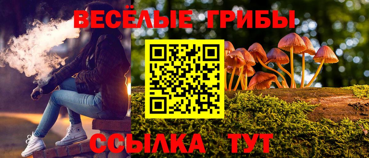 Галлюциногенные грибы MAGIC MUSHROOMS  Вход с VPN  Сухой Лог 